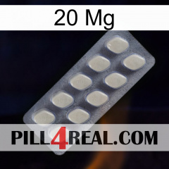 20 Mg 08